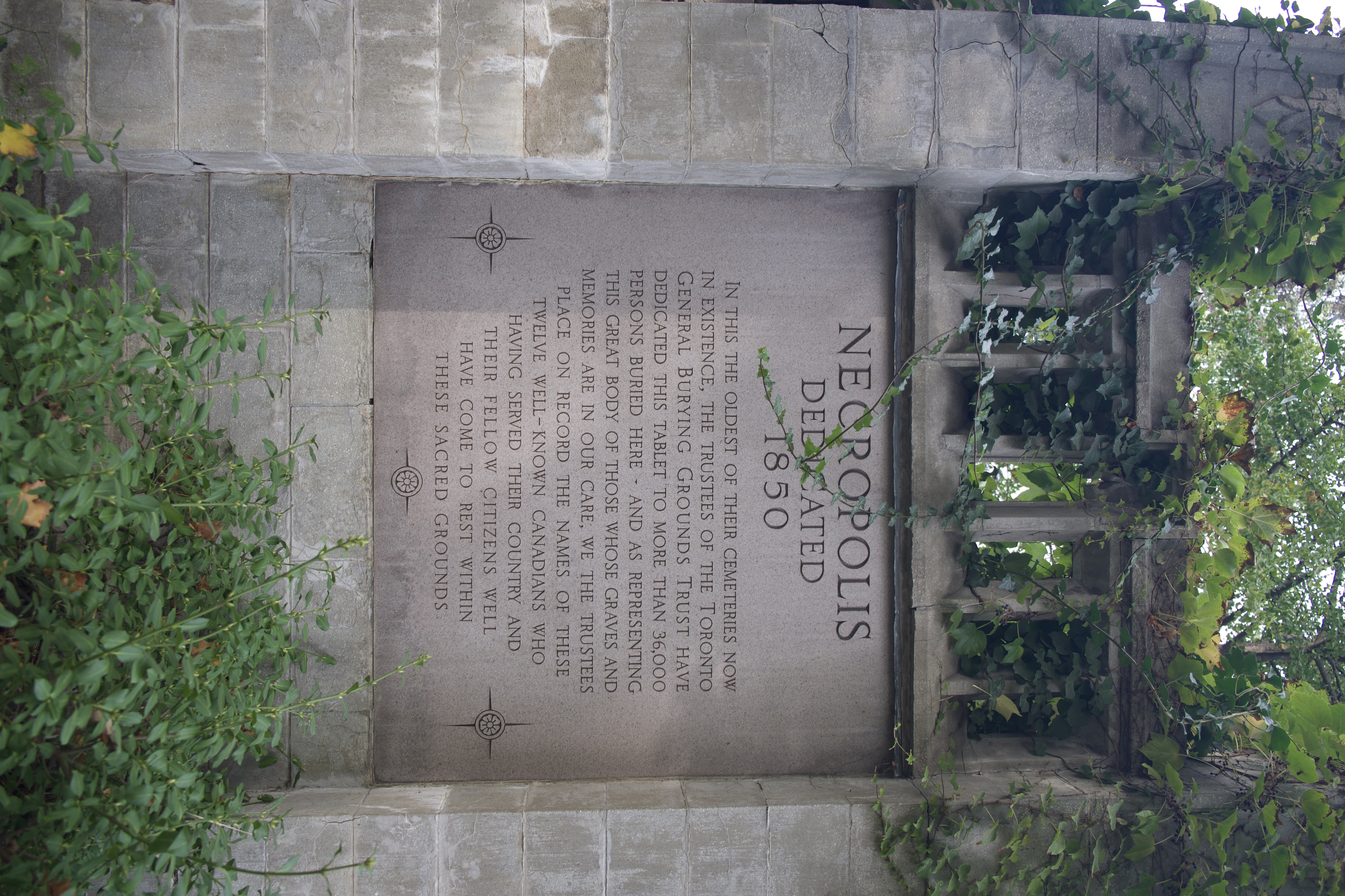 Nercoplis Dedication