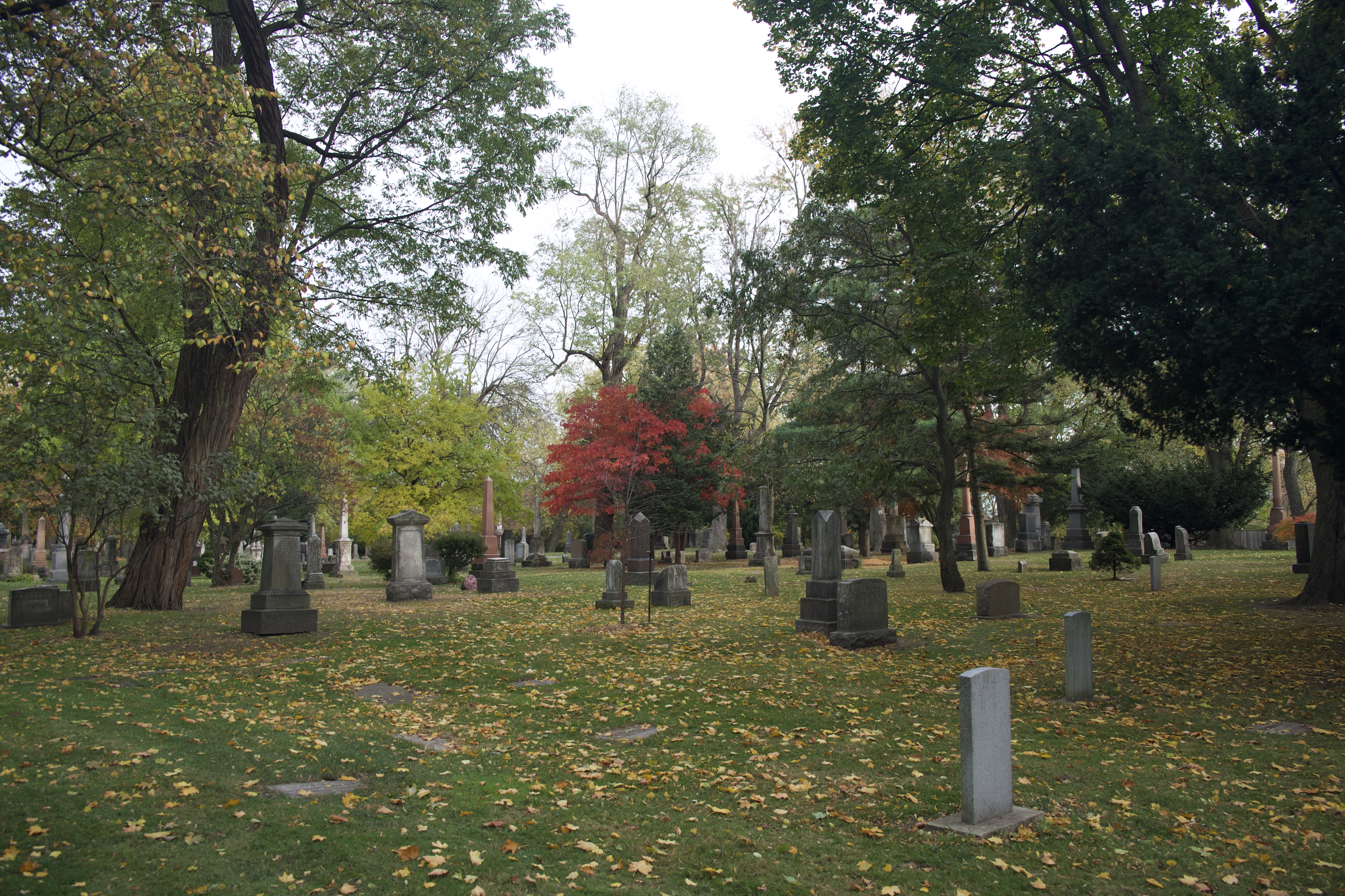 View of the Toronto Necropolis